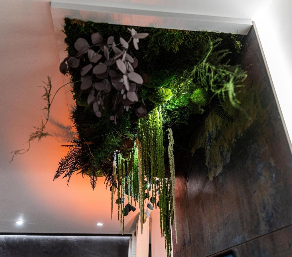Le Vulcano : Duplex Lounge ! Vesoul Exterior foto